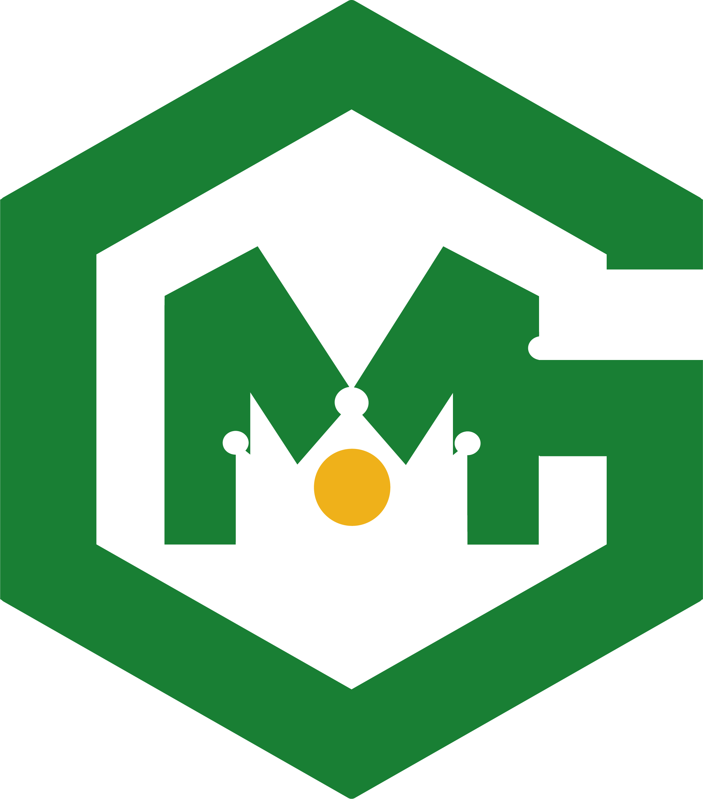 GROUPE MAJESTIC GABON